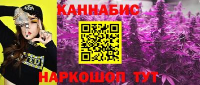 индика Будённовск